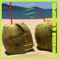 Juicers and Recipes: Nutritional Value and Health Benefits of the Coconut