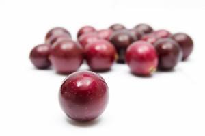 Vivix grapes The Wonders of Resveratrol